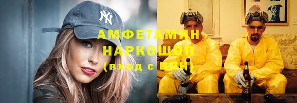 шишки Богородск
