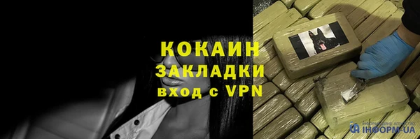 шишки Богородск