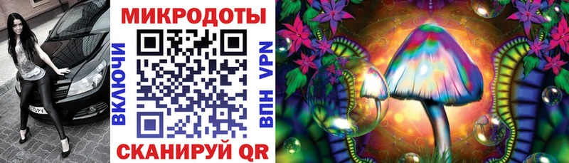 Псилоцибиновые грибы Psilocybine cubensis  Кириши 
